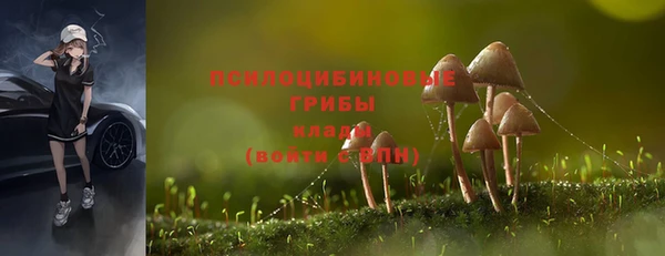 соль ск Лагань