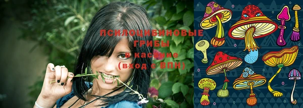 стаф Лабытнанги