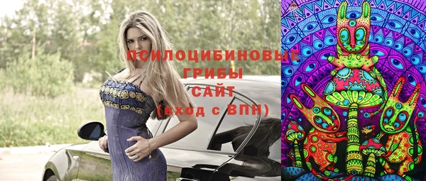 стаф Лабытнанги