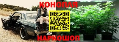 прущие крисы Волжский