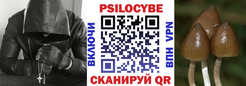 Псилоцибиновые грибы MAGIC MUSHROOMS  закладки  Ростов-на-Дону 