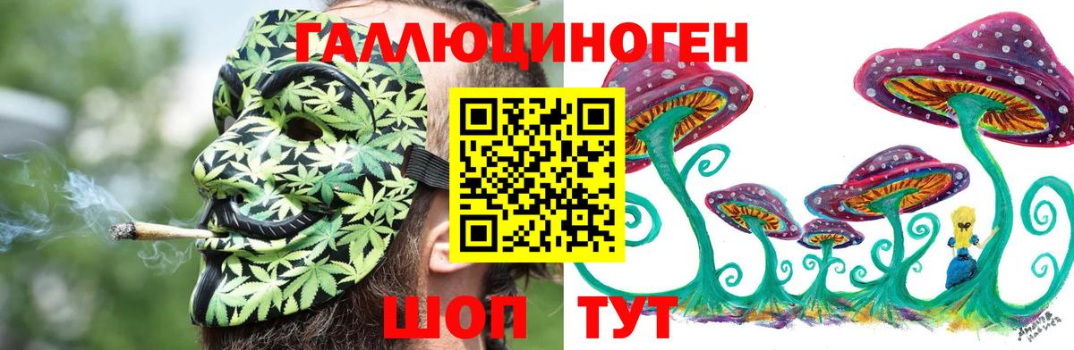 Галлюциногенные грибы Psilocybe  Ростов-на-Дону 