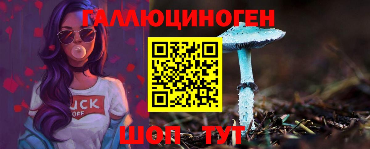 Ростов-на-Дону  Псилоцибиновые грибы прущие грибы  Вход с VPN 